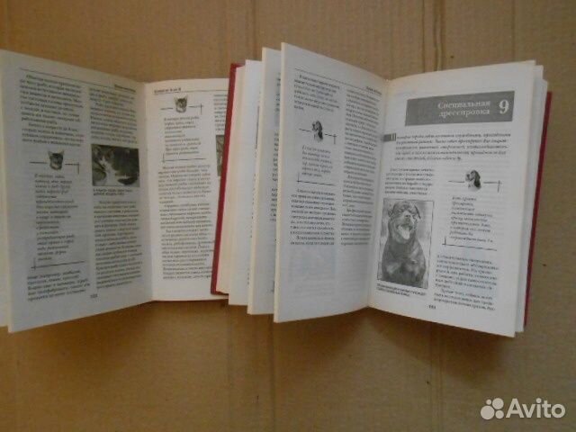 Три книги Домашний доктор.Собаки и кошки от А до Я