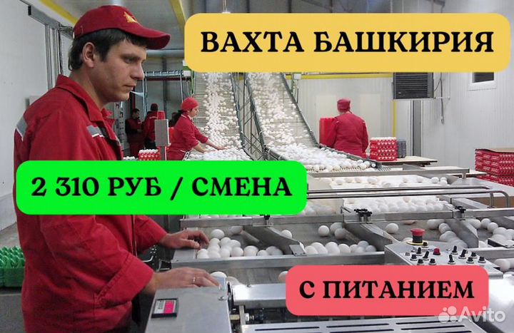 Разнорабочий цех наггетсы. Вахта питанием 20 смен