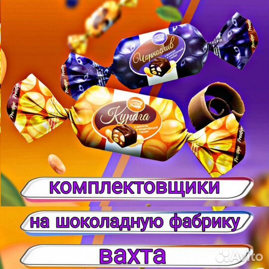 Упаковка шоколада / Вахта / Проживание / Питание