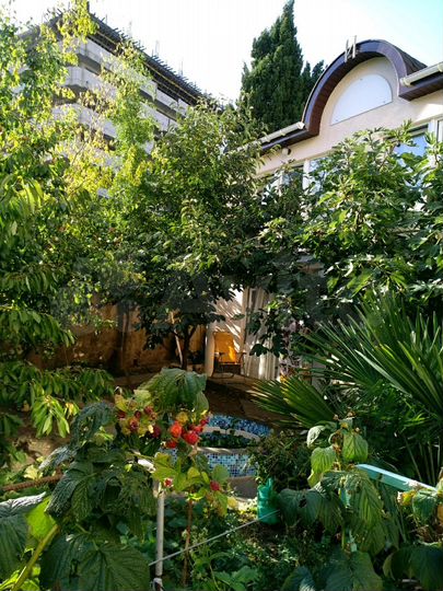 Комната 23 м², 1/2 эт.