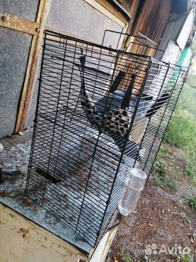 Клетка для животных большая