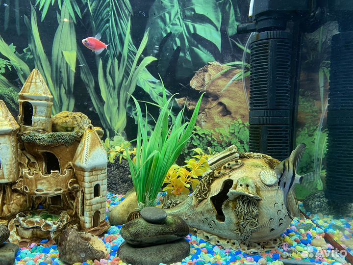 Аквариум