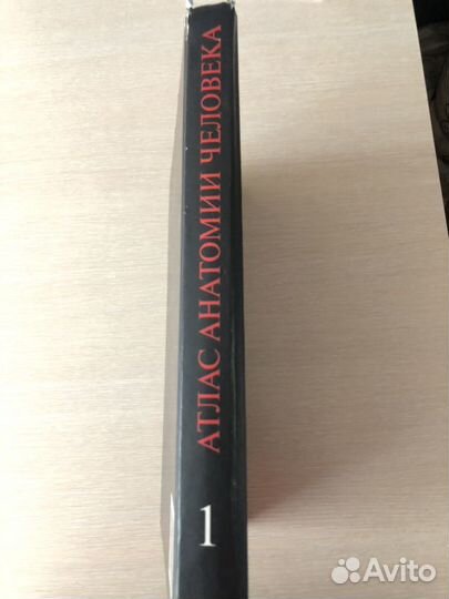 Атлас анатомия человека 1 том синельников