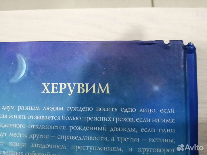 Полина Дашкова 