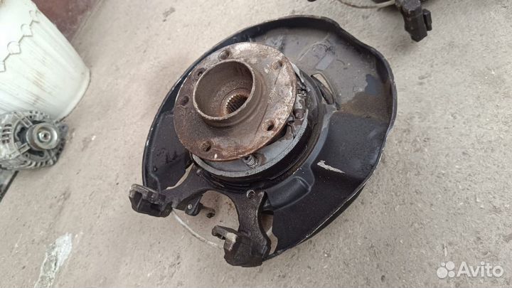 Кулак задний