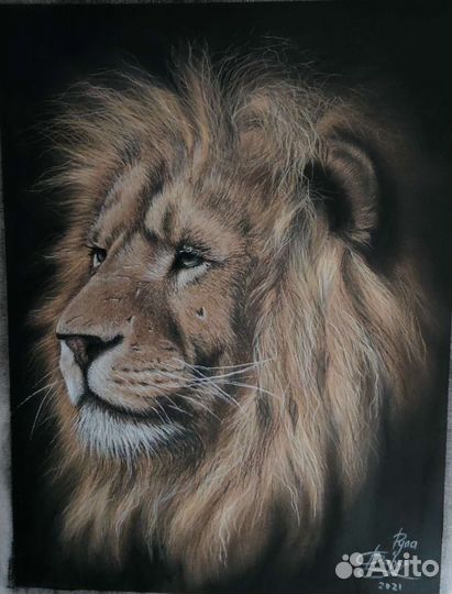 Портрет питомца по фото