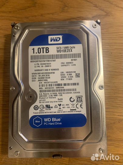 Жесткий диск 1 тб wd blue