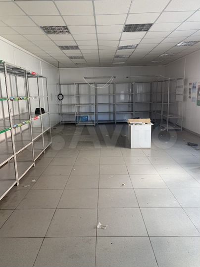 Торговая площадь, 77 м²