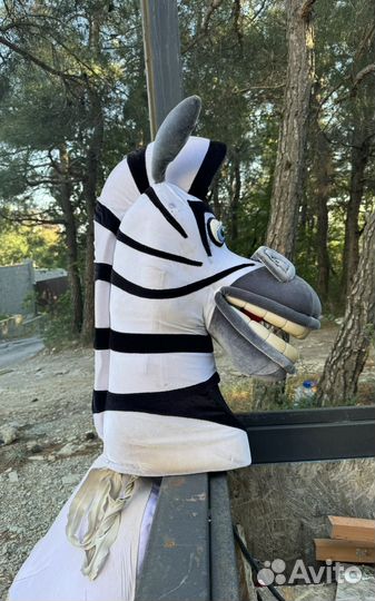 Ростовой костюм зебры