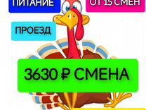 Вахта 15смен Фасовщики Отправка/питание бесплатно