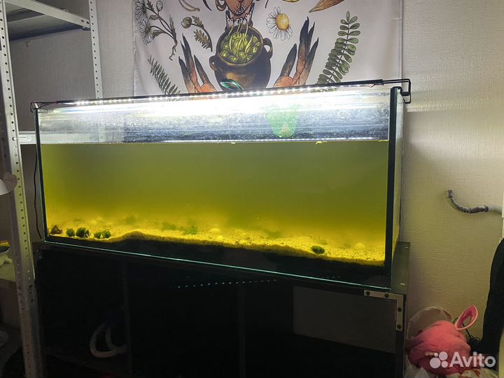 Аквариум на 150 литров + стеллаж