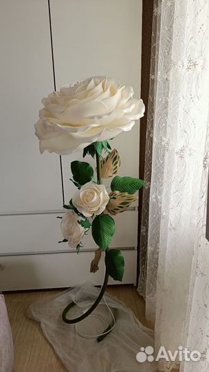 Роза