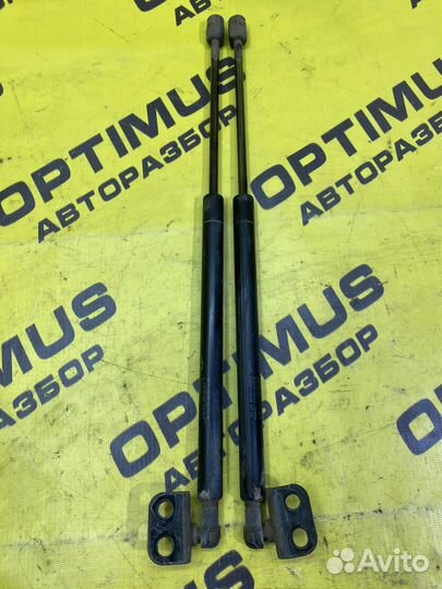 Амортизаторы капота Hyundai Santa Fe 1