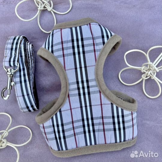 Брендовая шлейка для собак Gucci, Burberry+поводок