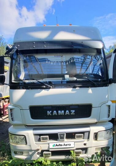 КАМАЗ 5490, 2017