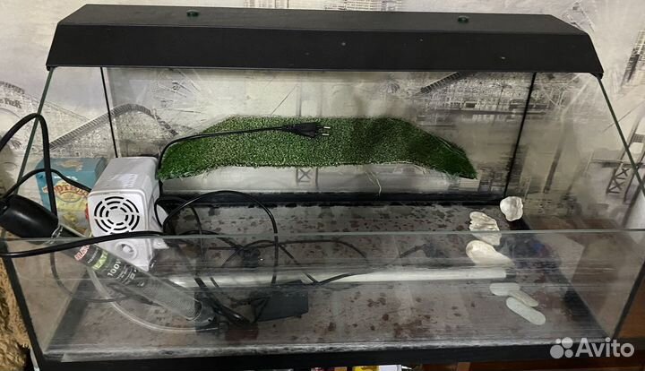 Аквариум