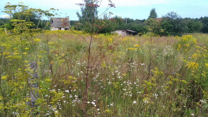 Участок 6 сот. (ИЖС)