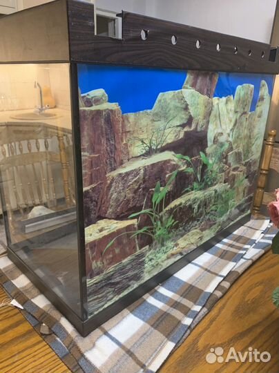 Аквариум новый