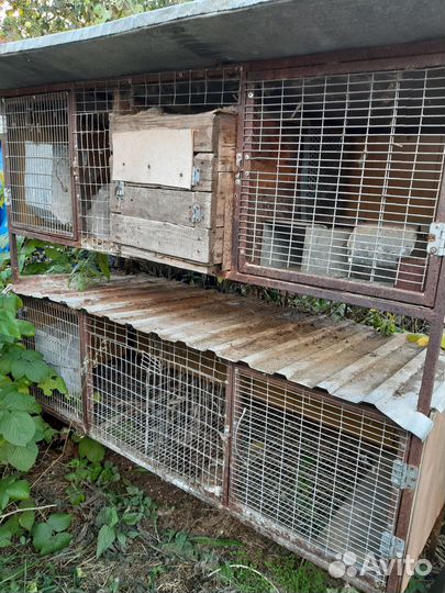 Клетка для кролика