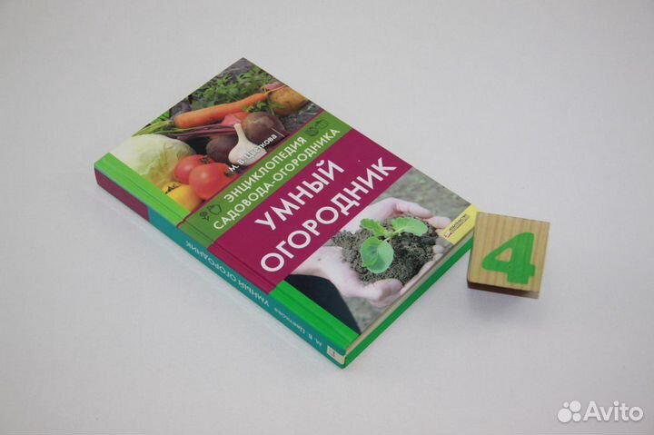 Пальмы, кактусы,папоротники