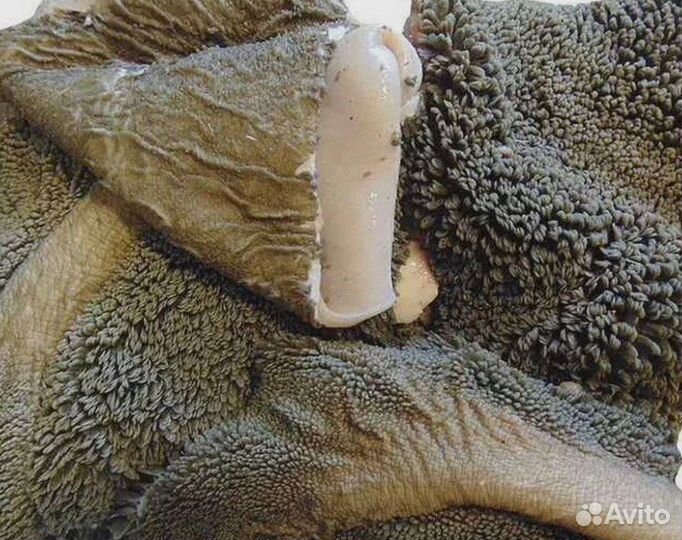 Мясо для собак (Субпродукты)