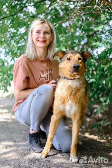 Скромный пес Лобзик ищет дом