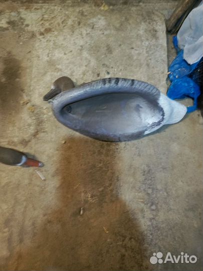 Чучела гуся Sport plast Vb-440