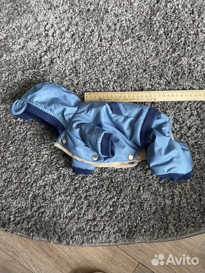 Одежда для собак