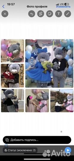Мишки Teddi