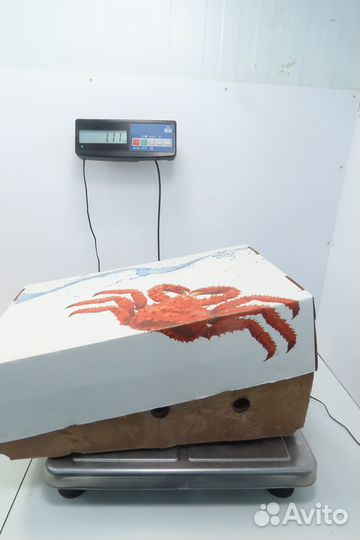 Краб Камчатский (конечности) 4L