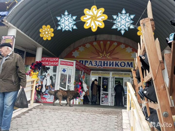 Гусь обнимусь