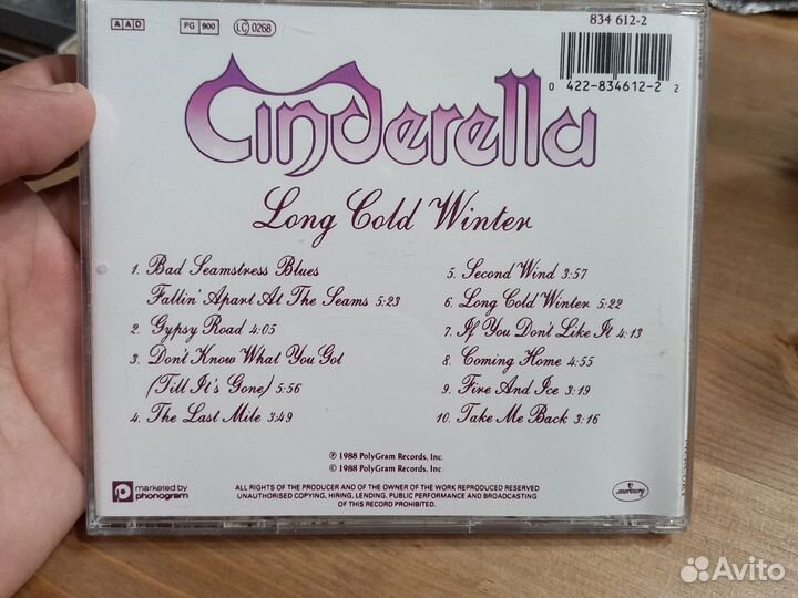 Cinderella. Long gold winter