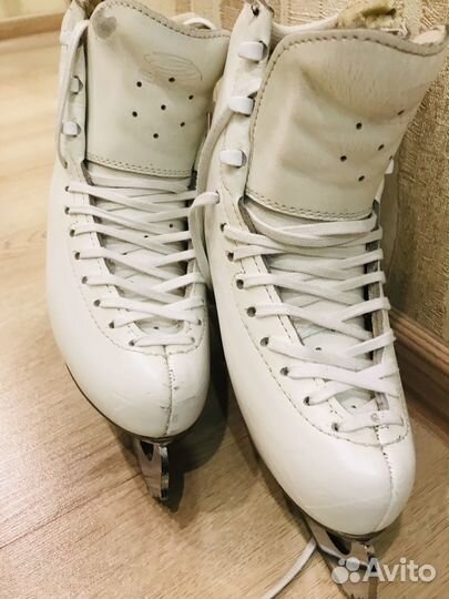 Коньки Edea Chorus 230