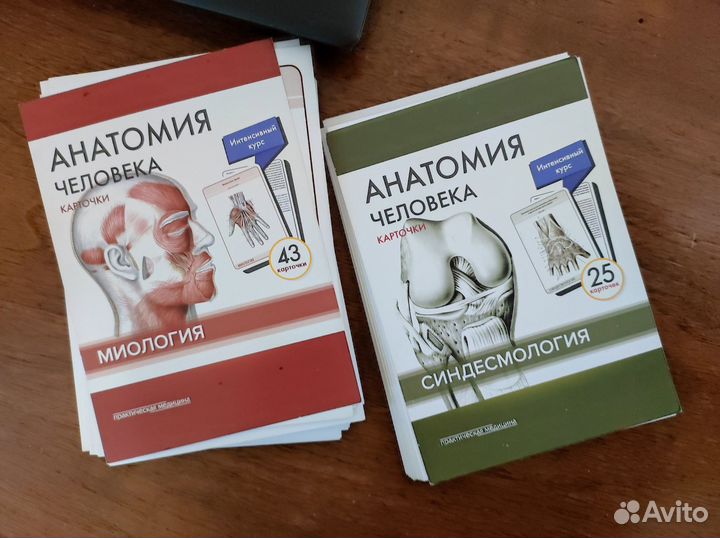 Карточки по анатомии