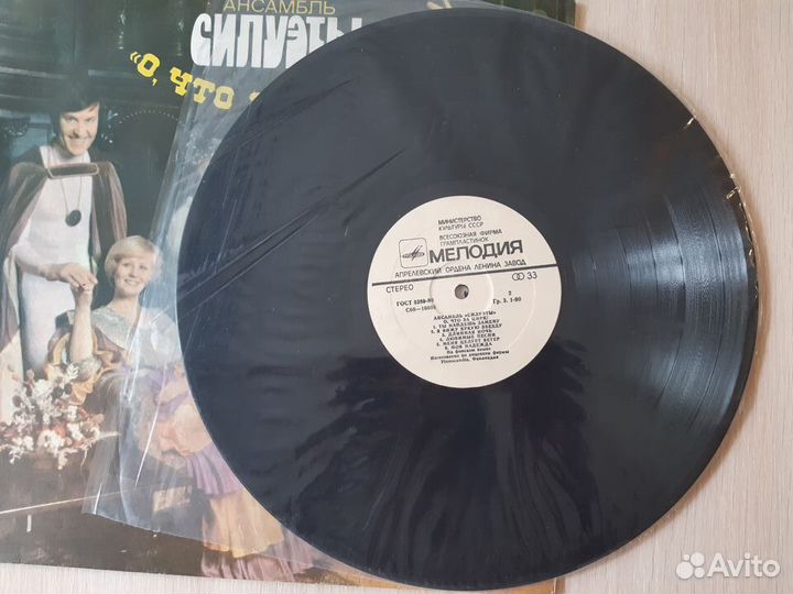 Пластинка ансамбль 