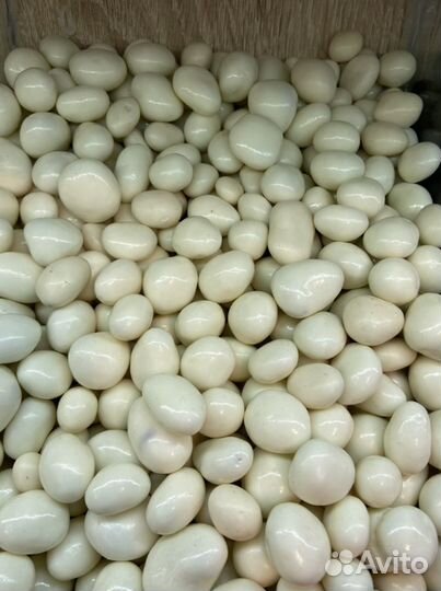 Орехи в шоколаде