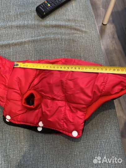 Курточка для маленькой собачки, подгузники