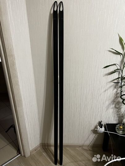 Лыжи гоночные Fischer