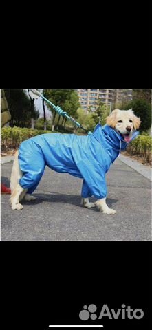Дождевики для средних и крупных собак