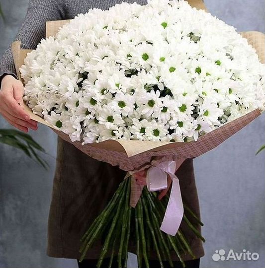 Хризантема