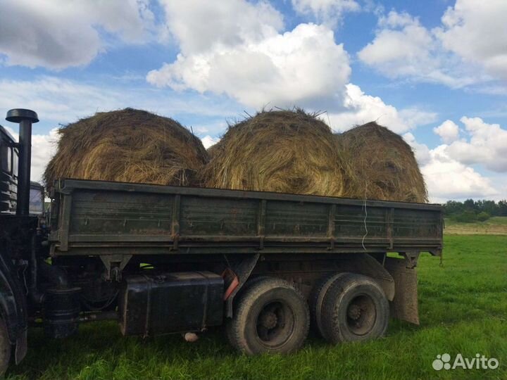 Сено в рулонах
