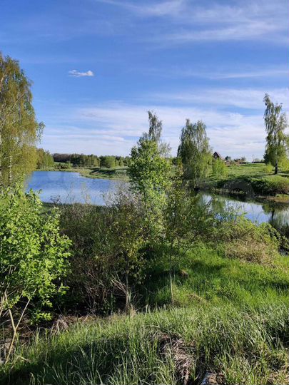 Участок 12 сот. (ИЖС)