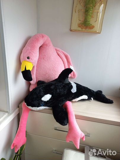 Черноморская касатка