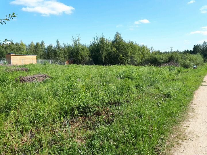 Участок 12 сот. (СНТ, ДНП)