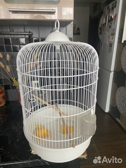 Клетка для попугая