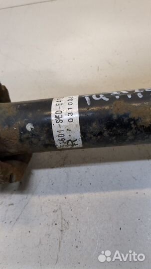 Амортизатор подвески Honda Accord 7, 2004