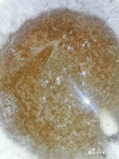 Башкирский липовый мёд 2023