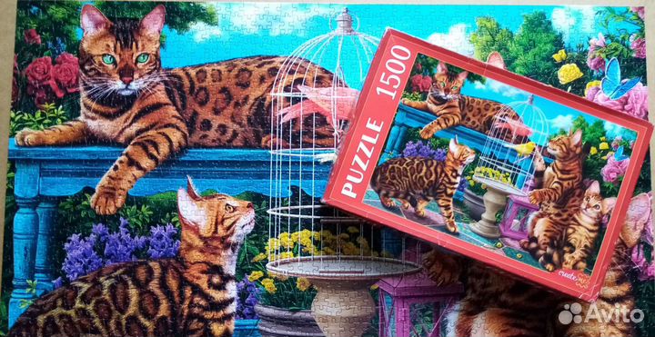 Пазлы 1500