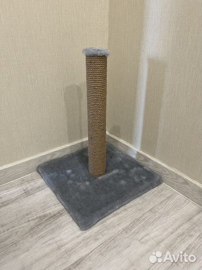 Когтеточка