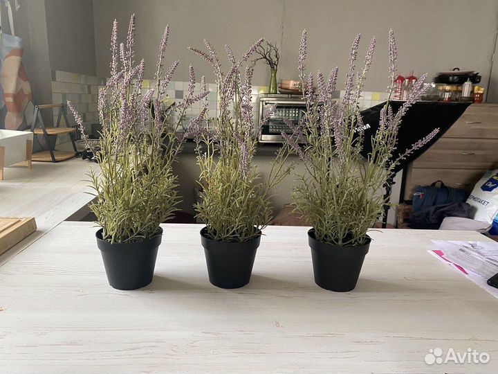 Икеа Лаванда Фейка в горшке 48 см - 3 шт